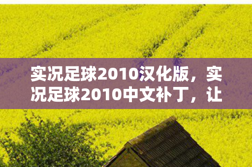 实况足球2010汉化版，实况足球2010中文补丁，让经典游戏焕发新生