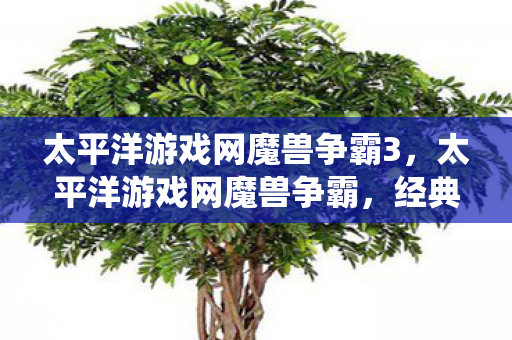 太平洋游戏网魔兽争霸3，太平洋游戏网魔兽争霸，经典战役的回顾与未来展望