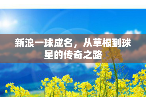 新浪一球成名，从草根到球星的传奇之路