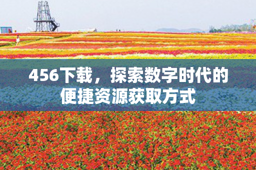 456下载，探索数字时代的便捷资源获取方式