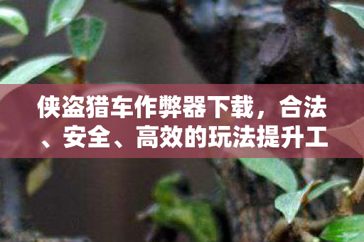 侠盗猎车作弊器下载，合法、安全、高效的玩法提升工具