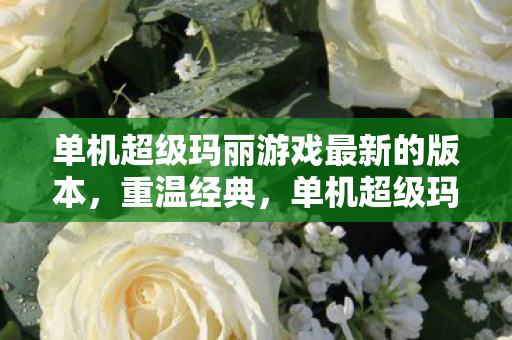 单机超级玛丽游戏最新的版本，重温经典，单机超级玛丽下载全攻略