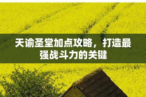 天谕圣堂加点攻略，打造最强战斗力的关键