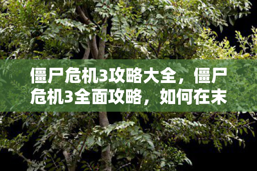 僵尸危机3攻略大全，僵尸危机3全面攻略，如何在末日世界中生存与胜利