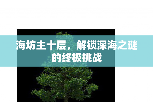 海坊主十层，解锁深海之谜的终极挑战