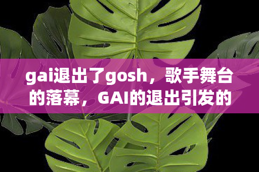 gai退出了gosh，歌手舞台的落幕，GAI的退出引发的思考