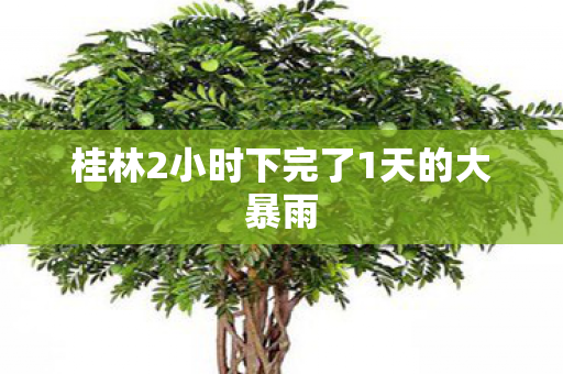 桂林2小时下完了1天的大暴雨