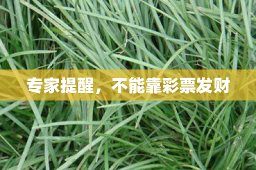 专家提醒,不能靠彩票发财 专家提醒,不能靠彩票发财