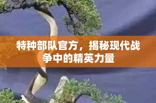 特种部队官方，揭秘现代战争中的精英力量