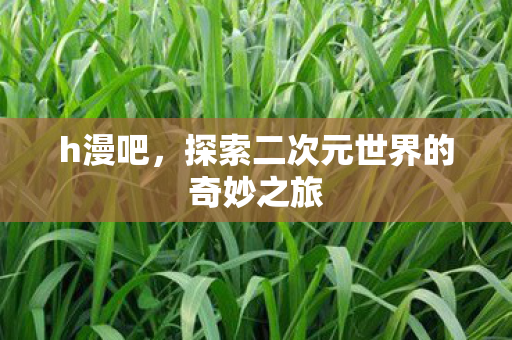 探索二次元世界的奇妙之旅图片