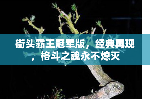 街头霸王冠军版，经典再现，格斗之魂永不熄灭