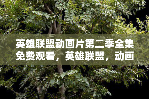 英雄联盟动画片第二季全集免费观看，英雄联盟，动画新篇章，第二季震撼来袭！