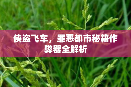 侠盗飞车，罪恶都市秘籍作弊器全解析