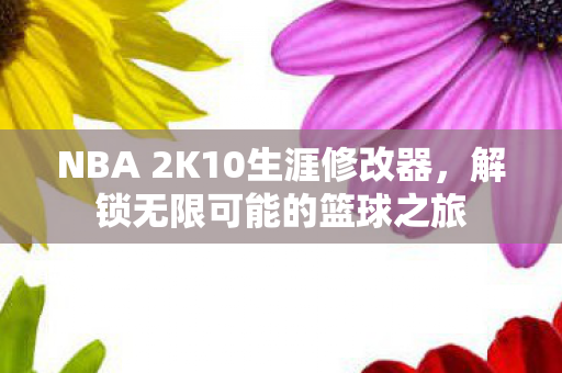 NBA 2K10生涯修改器，解锁无限可能的篮球之旅