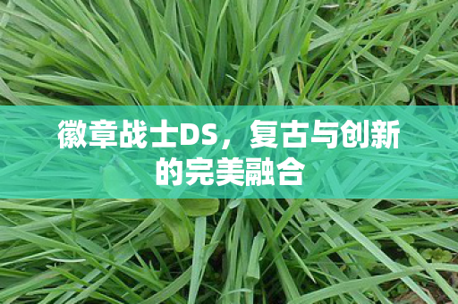 徽章战士DS，复古与创新的完美融合