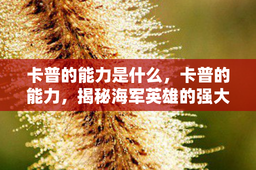 卡普的能力是什么，卡普的能力，揭秘海军英雄的强大实力