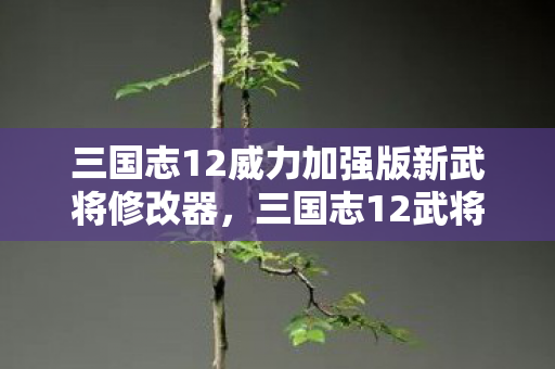 三国志12威力加强版新武将修改器，三国志12武将修改器，解锁无限可能的策略游戏工具