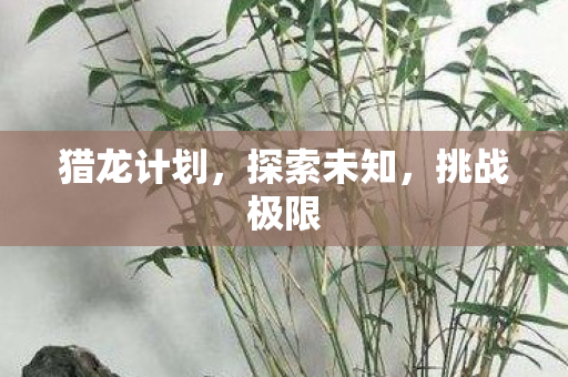 猎龙计划，探索未知，挑战极限