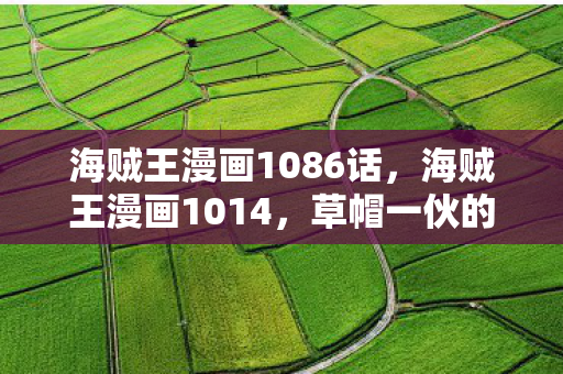 海贼王漫画1086话，海贼王漫画1014，草帽一伙的觉醒与未来展望