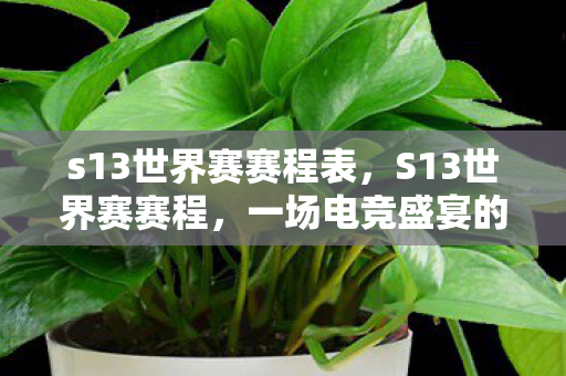 s13世界赛赛程表,S13世界赛赛程,一场电竞盛宴的期待与回顾 s13世界赛赛程表,S13世界赛赛程,一场电竞盛宴的期待与回顾
