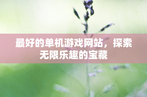 最好的单机游戏网站，探索无限乐趣的宝藏