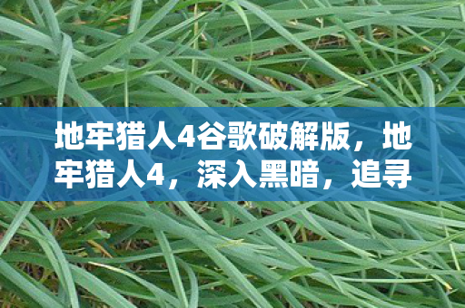 地牢猎人4谷歌破解版，地牢猎人4，深入黑暗，追寻光明