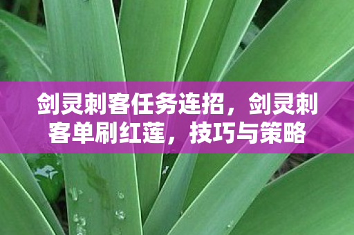 剑灵刺客任务连招，剑灵刺客单刷红莲，技巧与策略