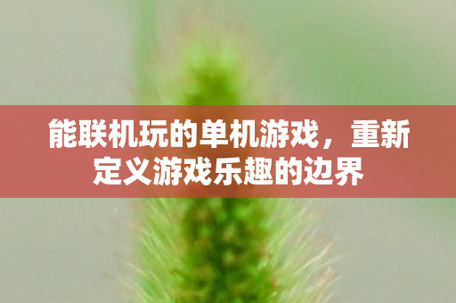 能联机玩的单机游戏，重新定义游戏乐趣的边界