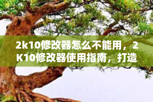 2k10修改器怎么不能用，2K10修改器使用指南，打造个性化游戏体验