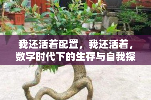 我还活着配置，我还活着，数字时代下的生存与自我探索