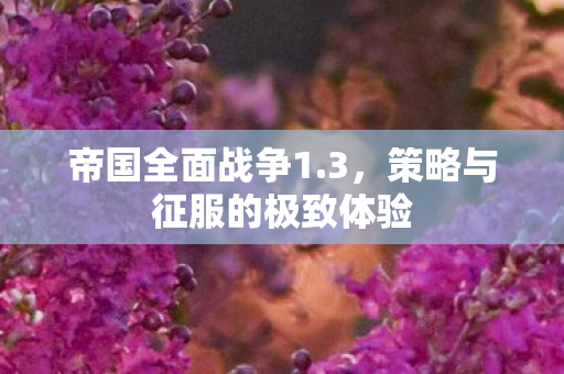 帝国全面战争1.3,策略与征服的极致体验 帝国全面战争1.3,策略与征服的极致体验