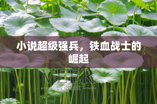 小说超级强兵，铁血战士的崛起