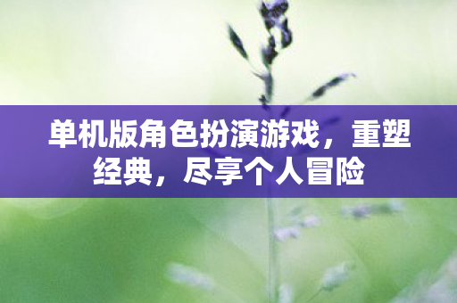 单机版角色扮演游戏，重塑经典，尽享个人冒险