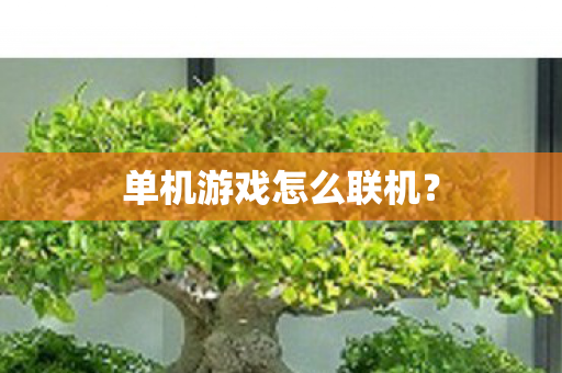 单机游戏怎么联机？