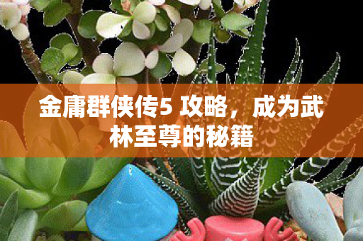 金庸群侠传5 攻略,成为武林至尊的秘籍 金庸群侠传5 攻略,成为武林至尊的秘籍