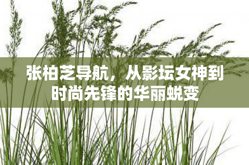 张柏芝导航,从影坛女神到时尚先锋的华丽蜕变 张柏芝导航,从影坛女神到时尚先锋的华丽蜕变