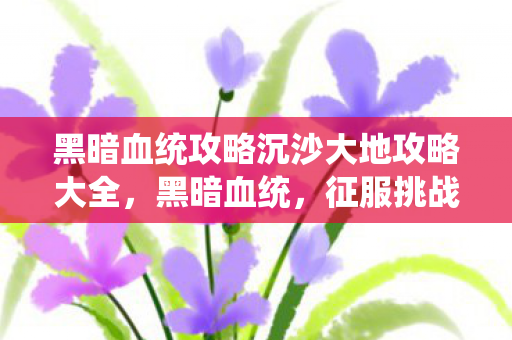 黑暗血统攻略沉沙大地攻略大全，黑暗血统，征服挑战的全面指南