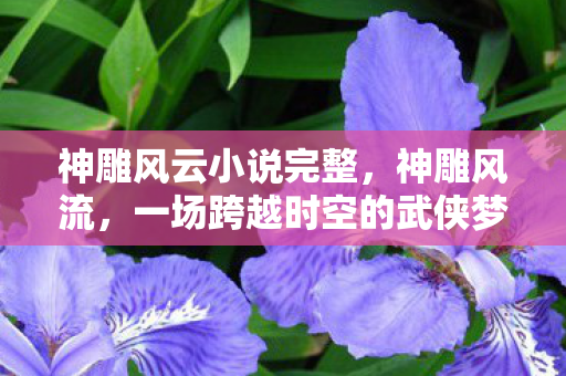 一场跨越时空的武侠梦图片