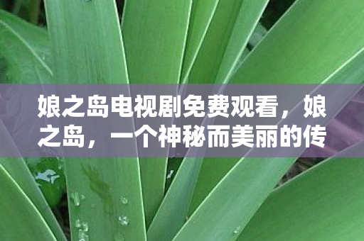 娘之岛电视剧免费观看，娘之岛，一个神秘而美丽的传说