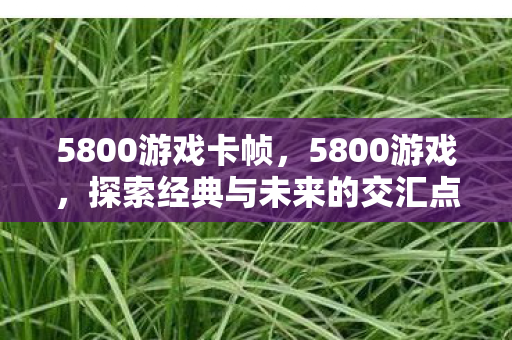 5800游戏卡帧，5800游戏，探索经典与未来的交汇点