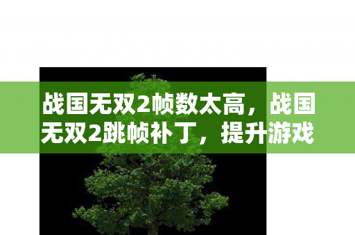 战国无双2帧数太高，战国无双2跳帧补丁，提升游戏流畅度的秘密武器