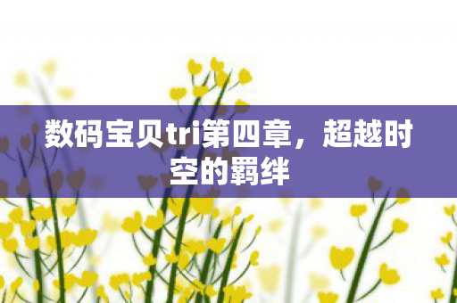 数码宝贝tri第四章，超越时空的羁绊