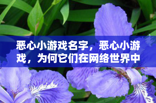 恶心小游戏名字，恶心小游戏，为何它们在网络世界中如此猖獗？