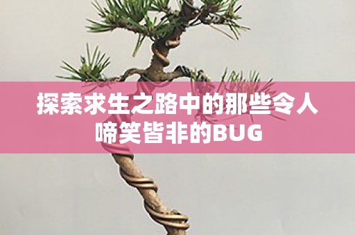 探索求生之路中的那些令人啼笑皆非的BUG