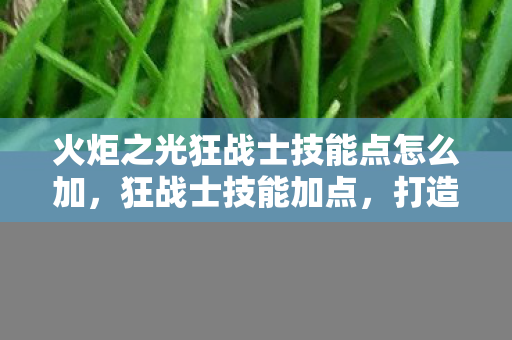 火炬之光狂战士技能点怎么加，狂战士技能加点，打造你的终极战斗机器