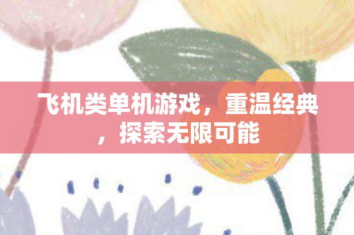 飞机类单机游戏,重温经典,探索无限可能 飞机类单机游戏,重温经典,探索无限可能