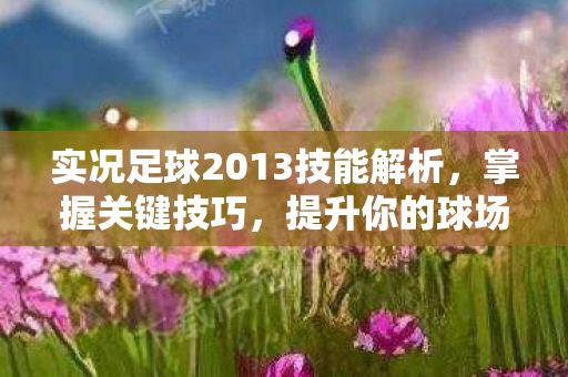 实况足球2013技能解析，掌握关键技巧，提升你的球场表现