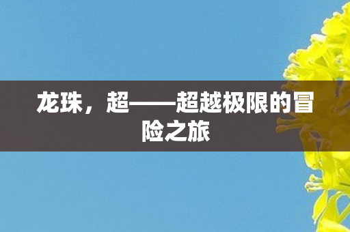 龙珠，超——超越极限的冒险之旅