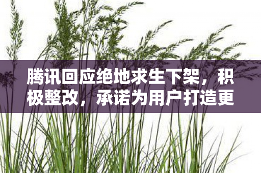 腾讯回应绝地求生下架，积极整改，承诺为用户打造更健康的游戏环境