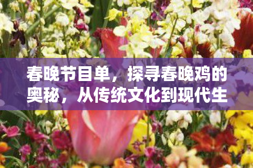 春晚节目单，探寻春晚鸡的奥秘，从传统文化到现代生活的变迁
